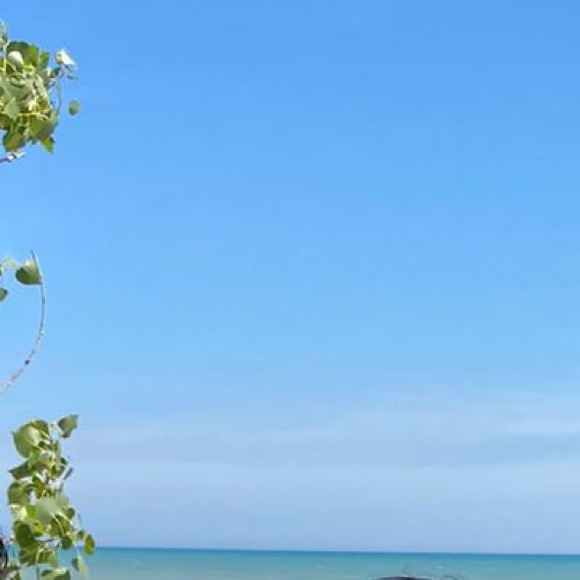 Meet your Posher, C - Picture 1 of 1